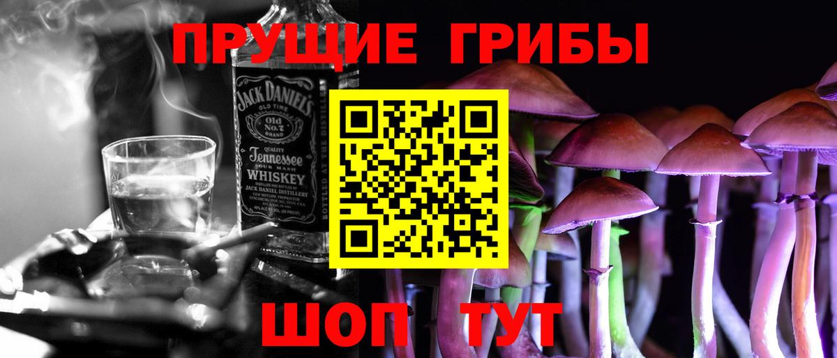 Псилоцибиновые грибы Cubensis  Вход с VPN  Ковров 