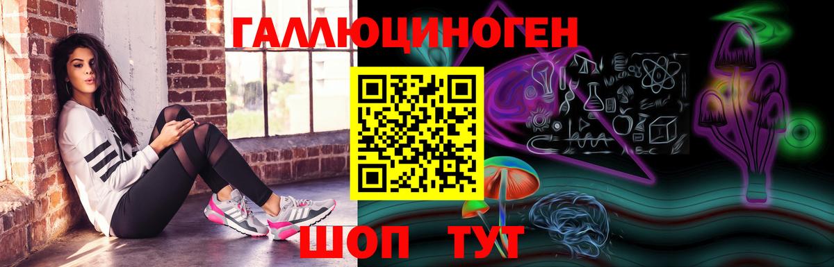 Псилоцибиновые грибы Psilocybe Ковров