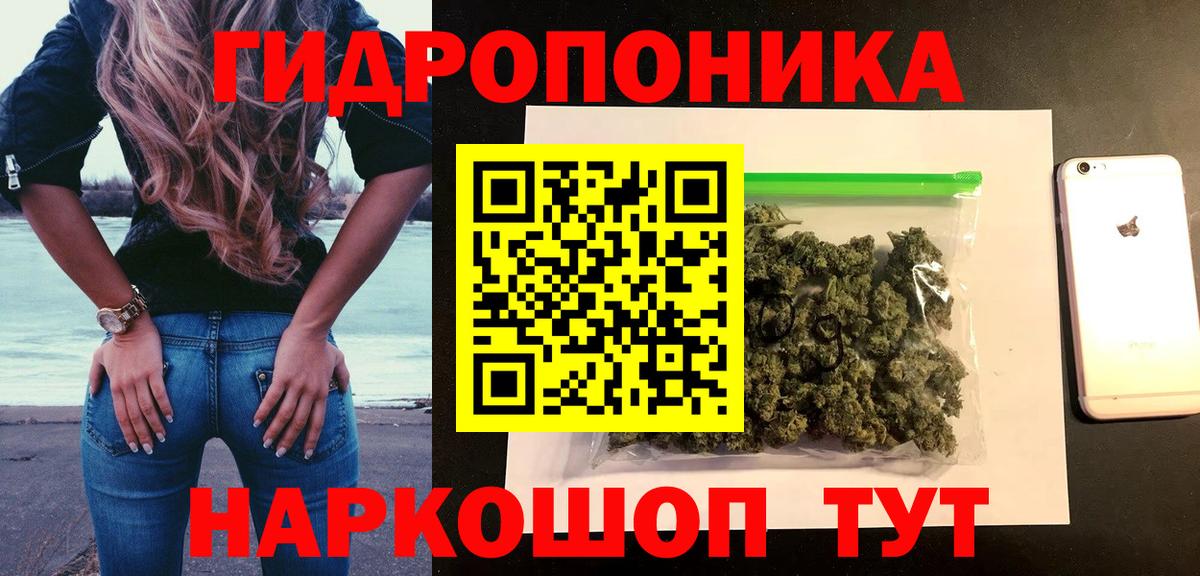 Шишки марихуана MAZAR Ковров